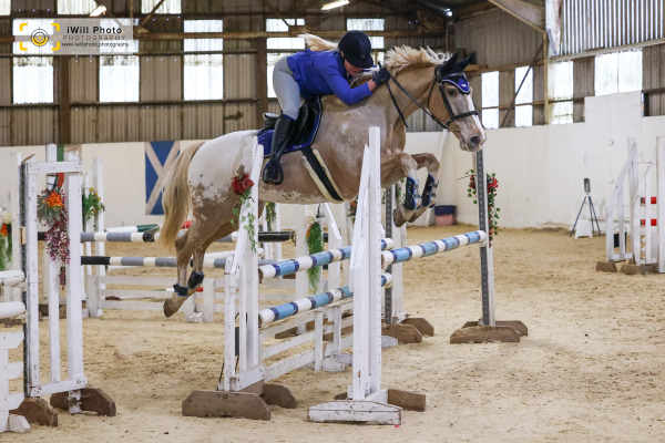 Senior BS Cat 1 Show Jumping including Blue Chip Qualifiers, Duckhurst Farm, Sunday 29th December