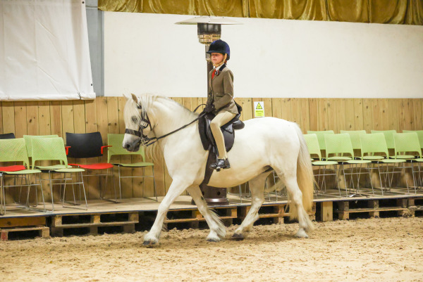 APHS Invicta Show, White Horse Farm, Sunday 22nd June