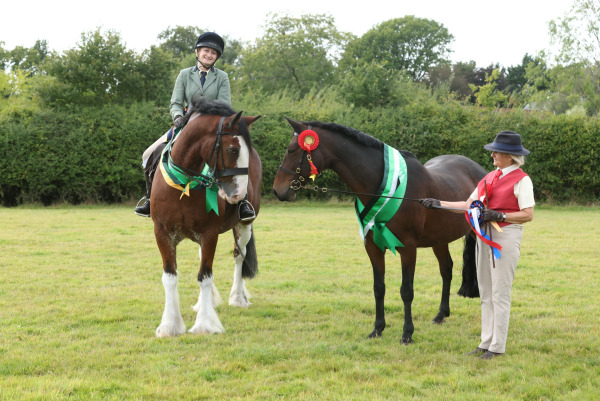 Ockley Barn Farm Showing Show, Sunday 7th September