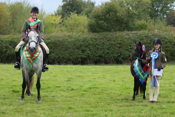 Ockley Barn Farm Showing Show Championship, Sunday 28th September