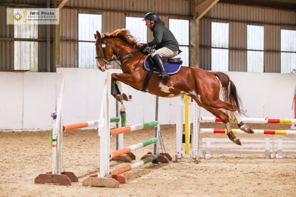 Senior BS Cat 1 Showjumping including Bluechip Qualifier, Duckhurst Farm, Sunday 15th February