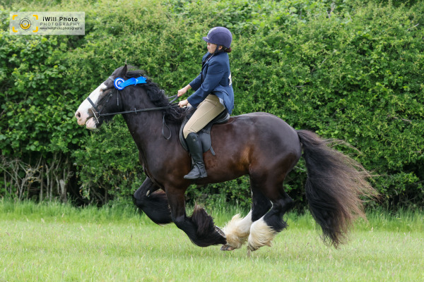 Ockley Barn Farm Showing Show, Sunday 31st May
