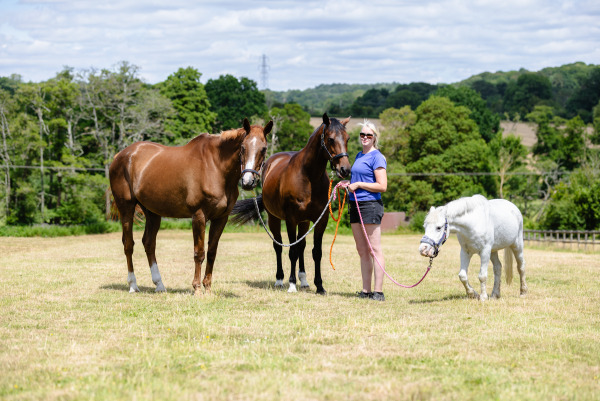 Laura Golton Equine Portraits