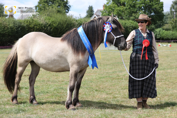 Ockley Barn Farm Showing Show, Sunday 19th July