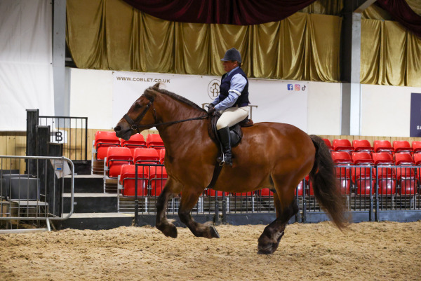 APHS Invicta Show, White Horse Farm, Sunday 2nd August